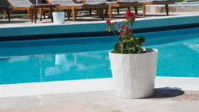 Гостиница Evridiki Hotel  Фурка 